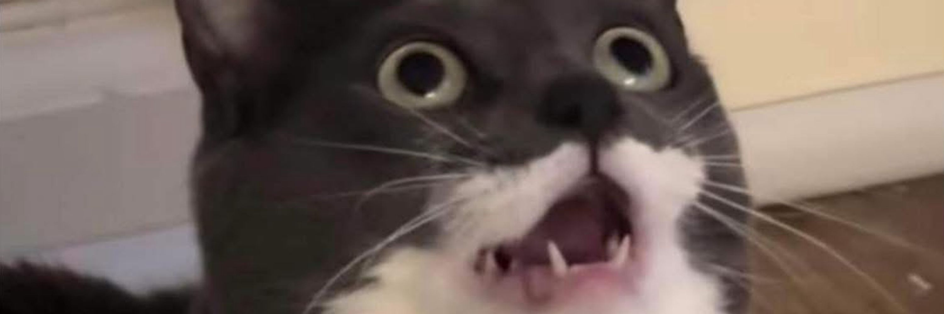 👄👄