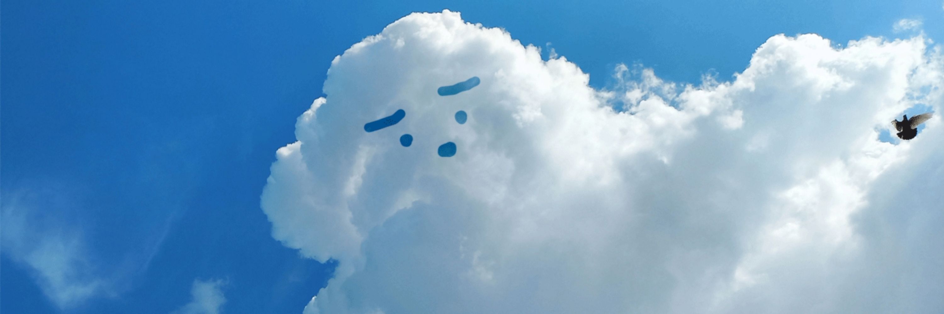 よほろ