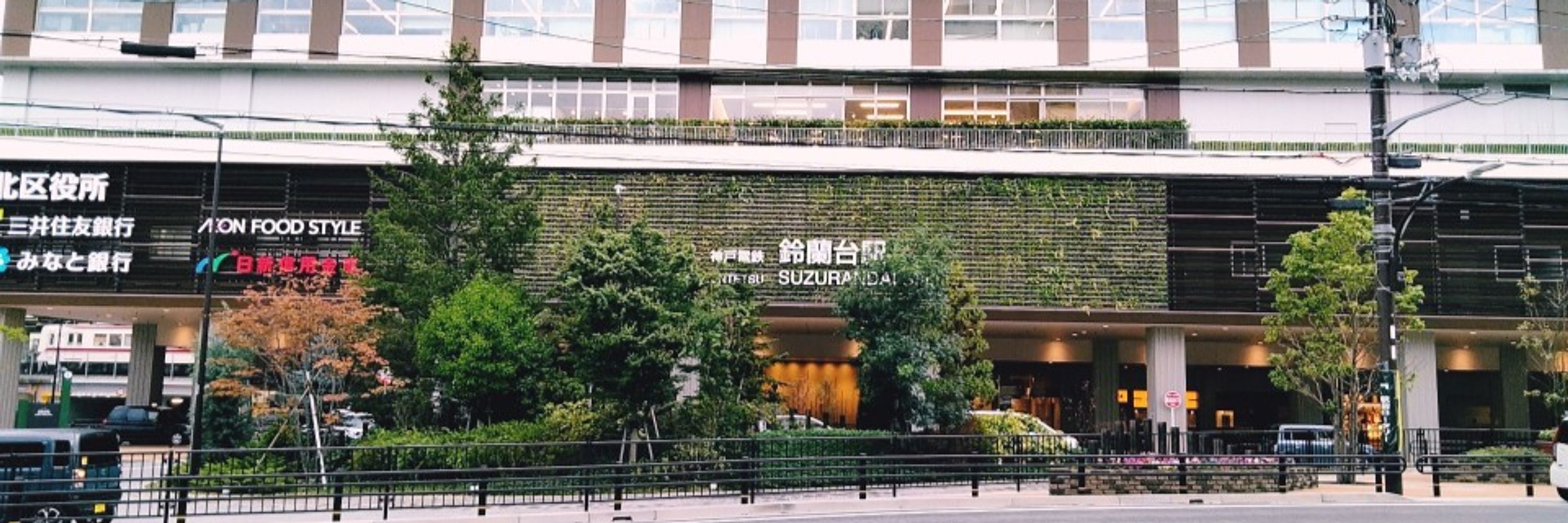 伊納 弥生