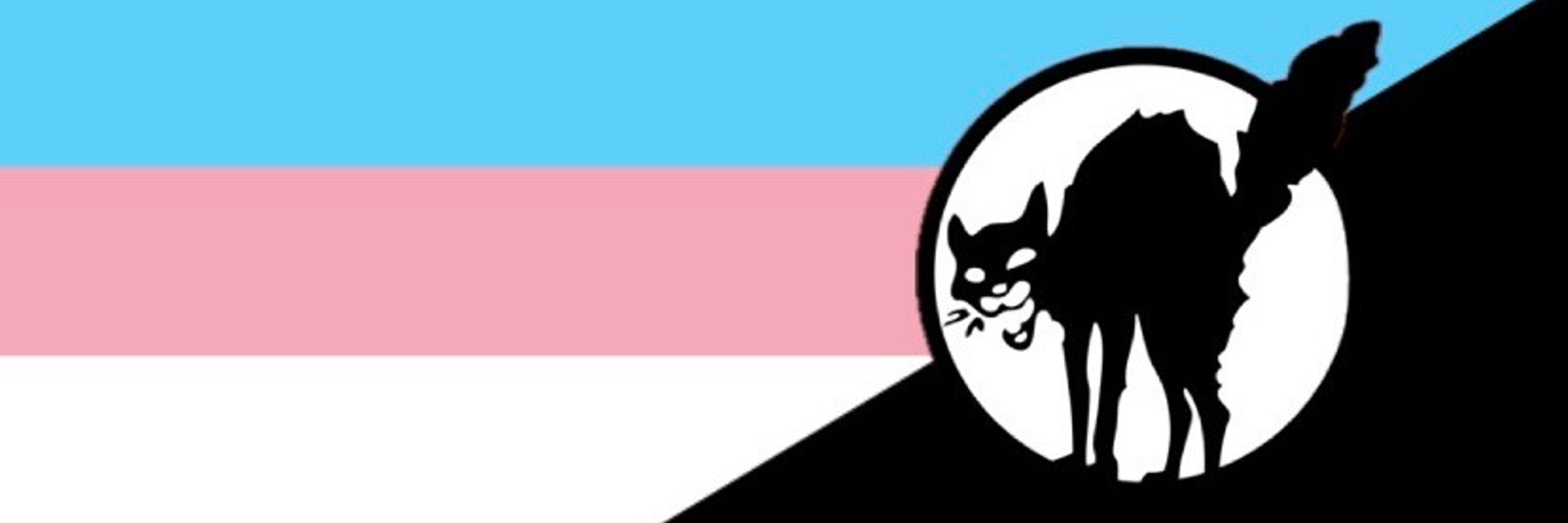 ᴄᴀᴛ🏳️‍⚧️🏴🐈‍⬛