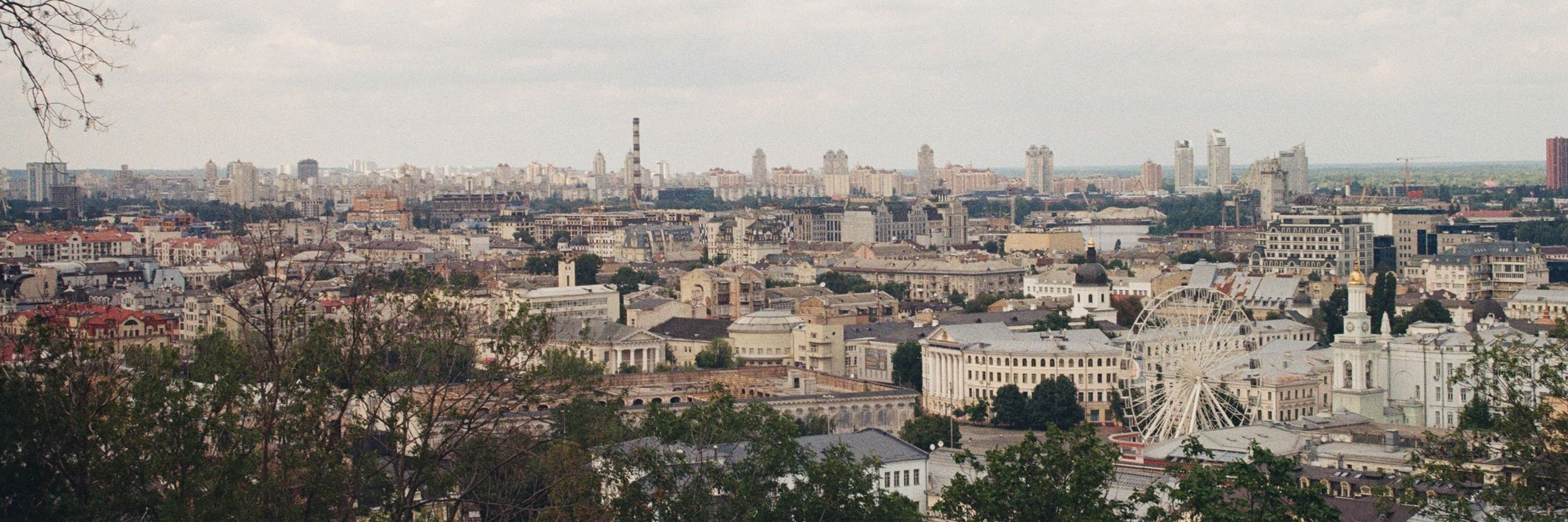 лис на фотоплівці 🎞️