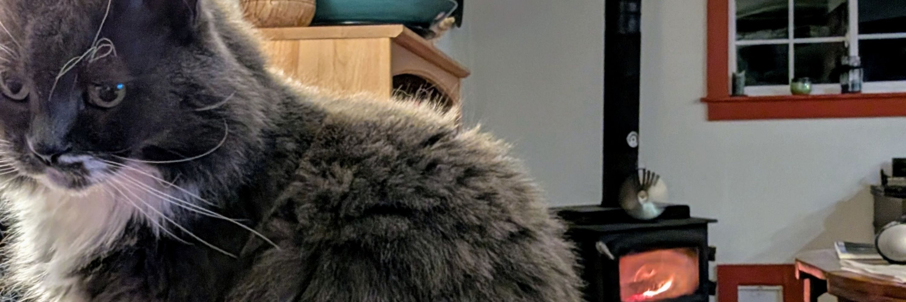 Jenmuppet