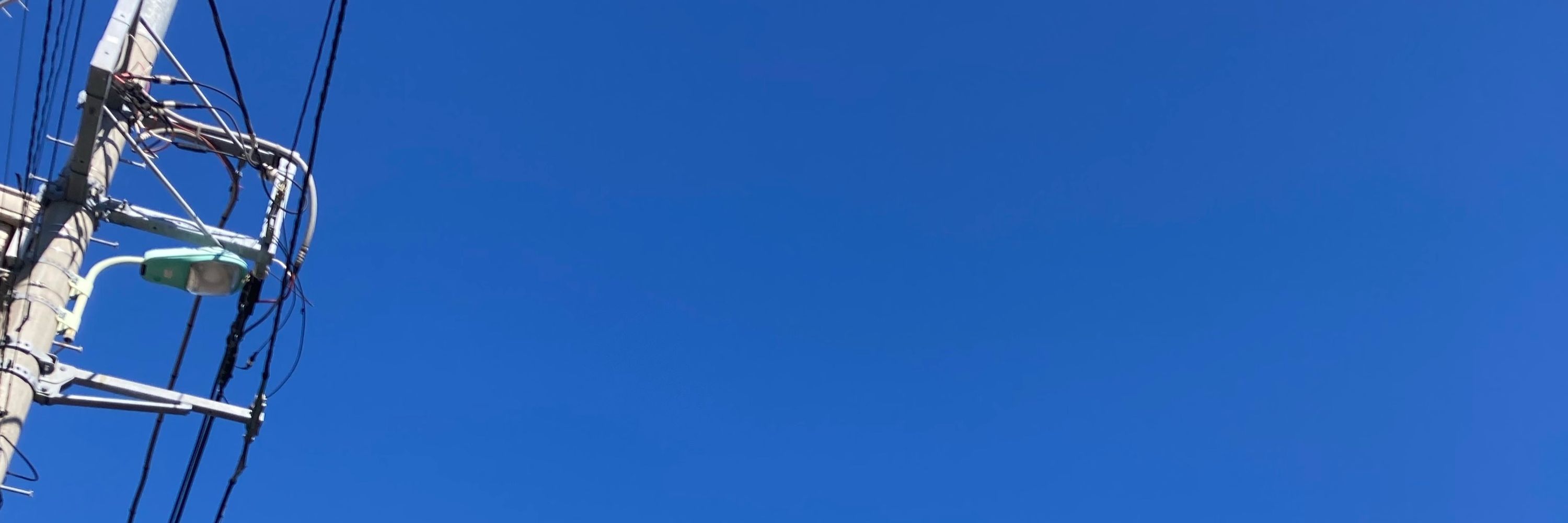 レイナ