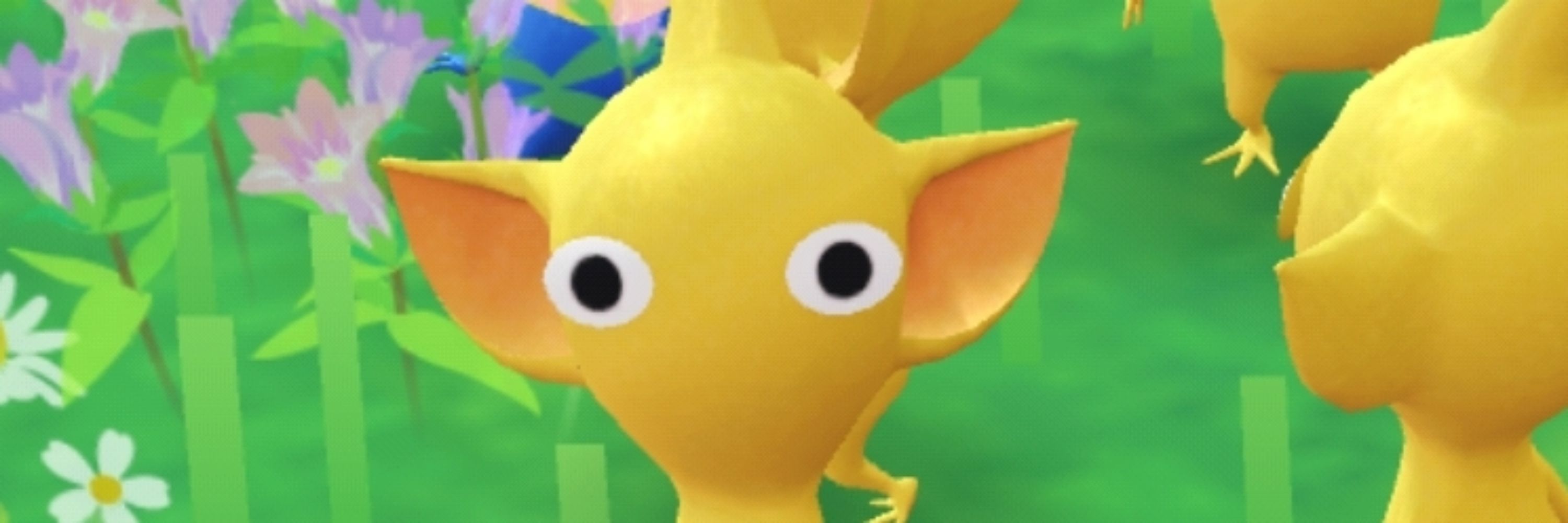 안대