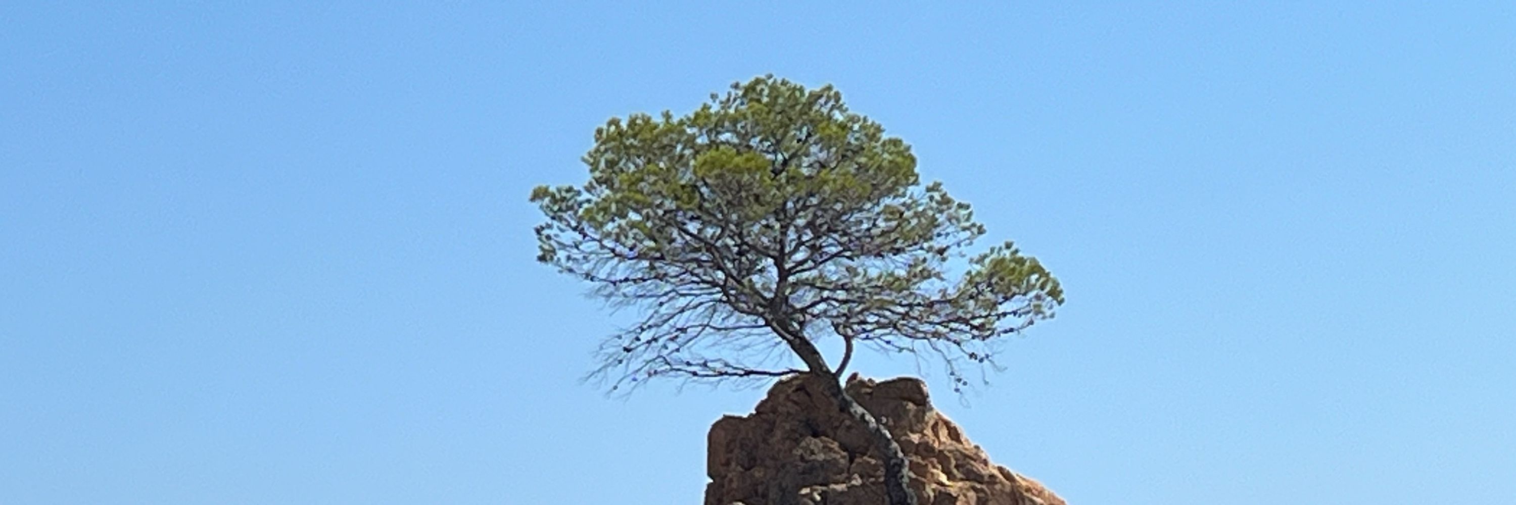 Helder T. Sousa