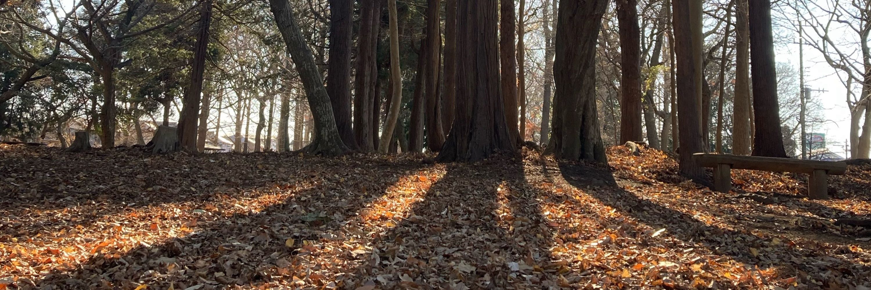 木原 満雄