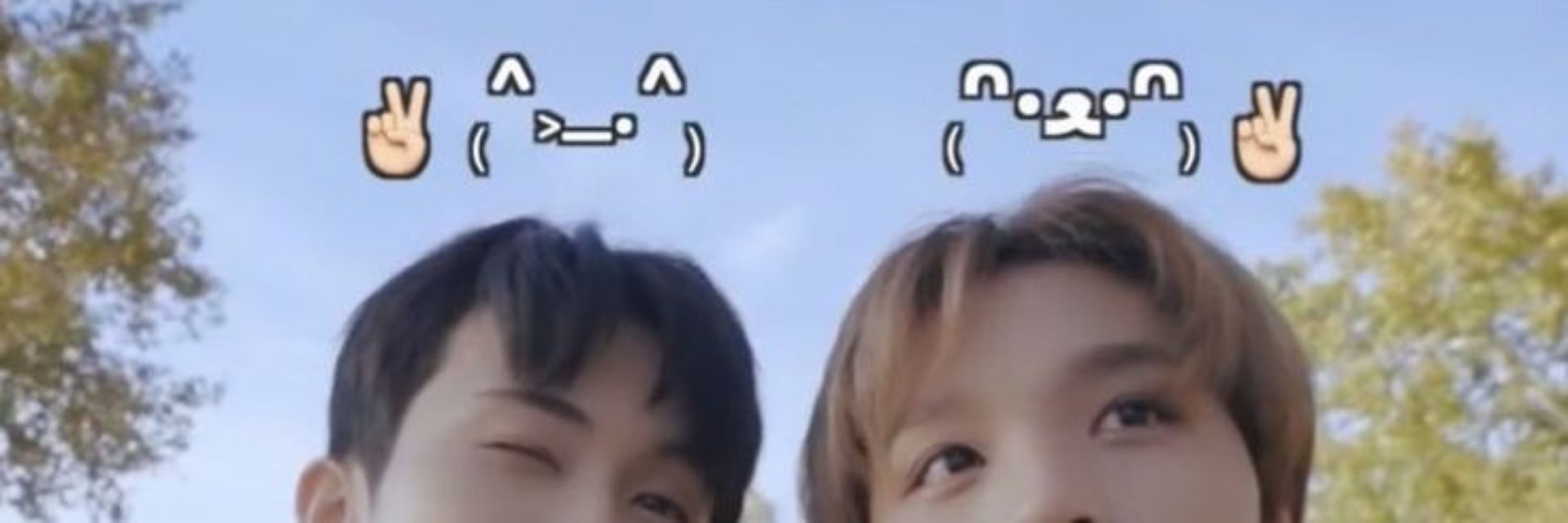 taa ฅ˙Ⱉ˙ฅ