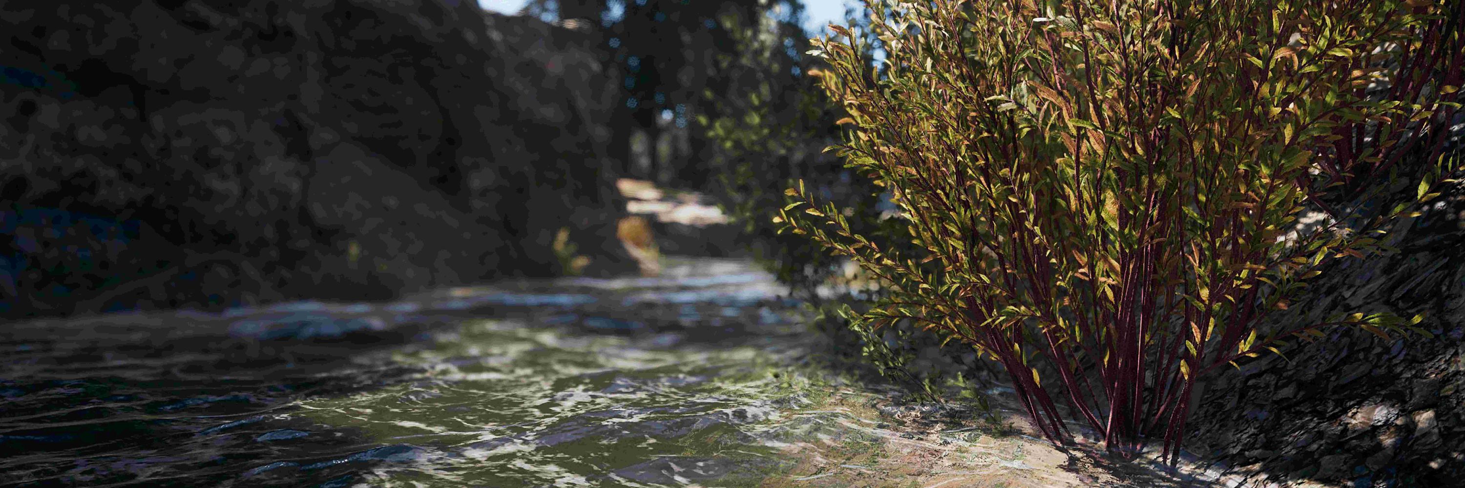 Sierra