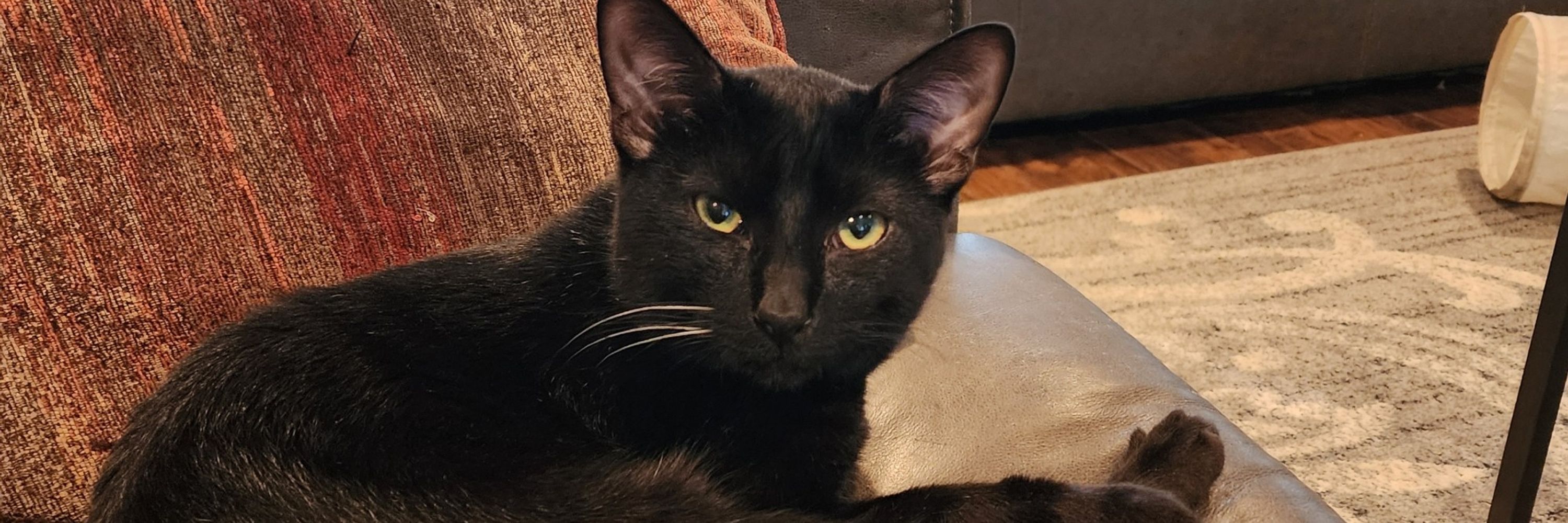 Erik