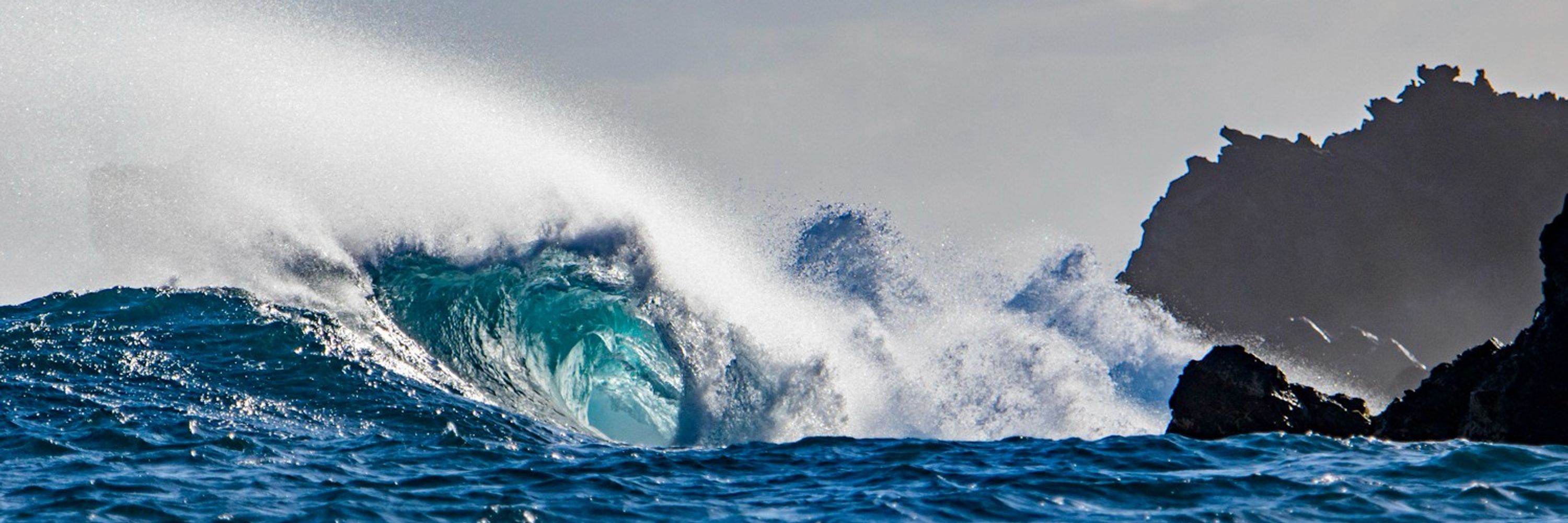 Gulf of California Marine Program