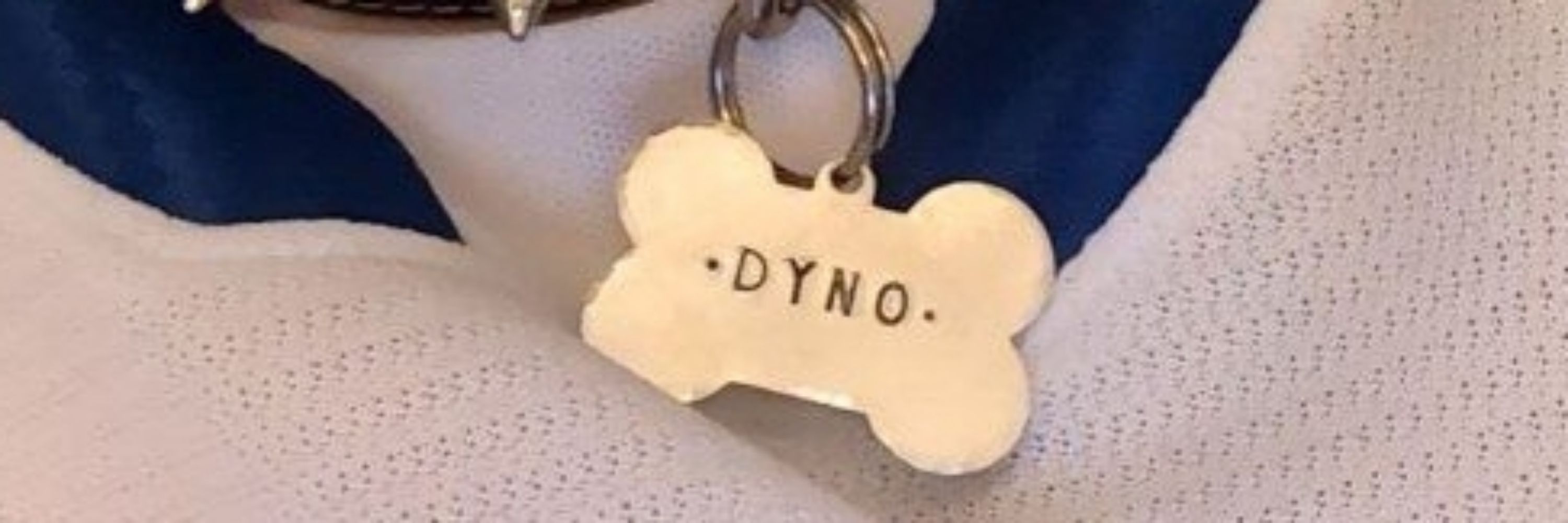 Dyno