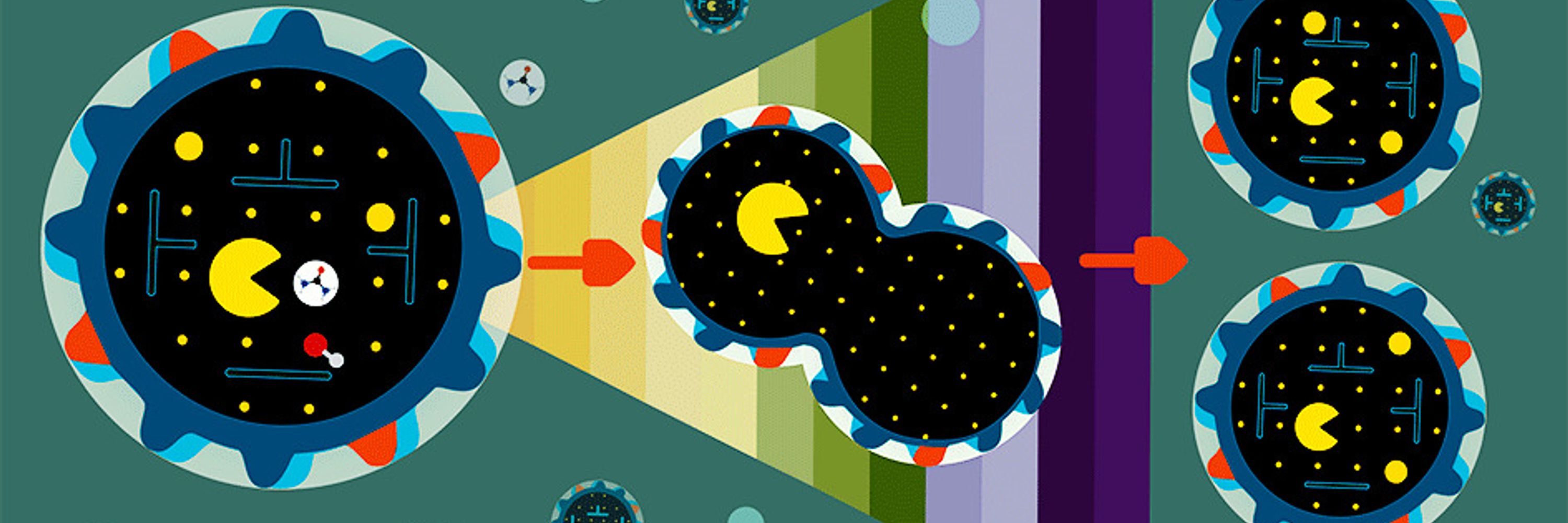 Smart Cells Unisi