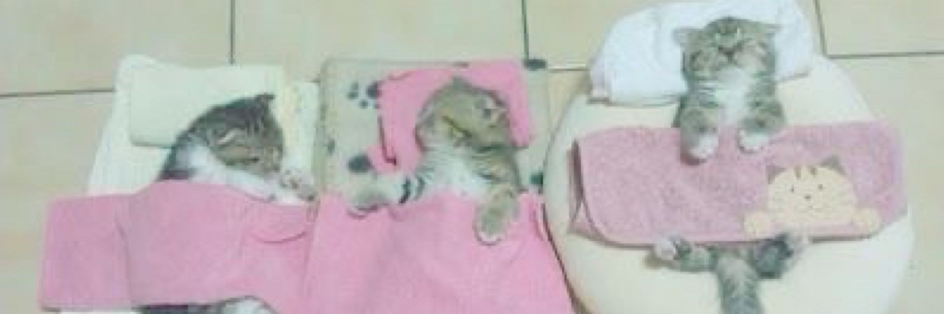 เมียวมิ