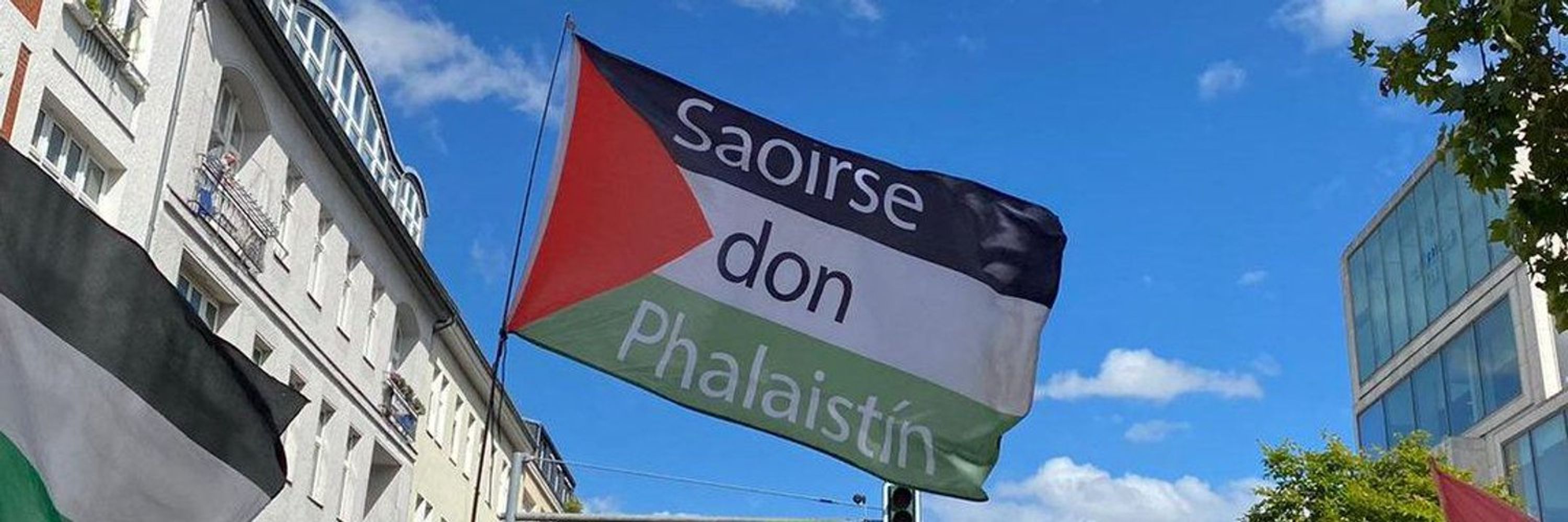 Micheál Ó Maoileóin