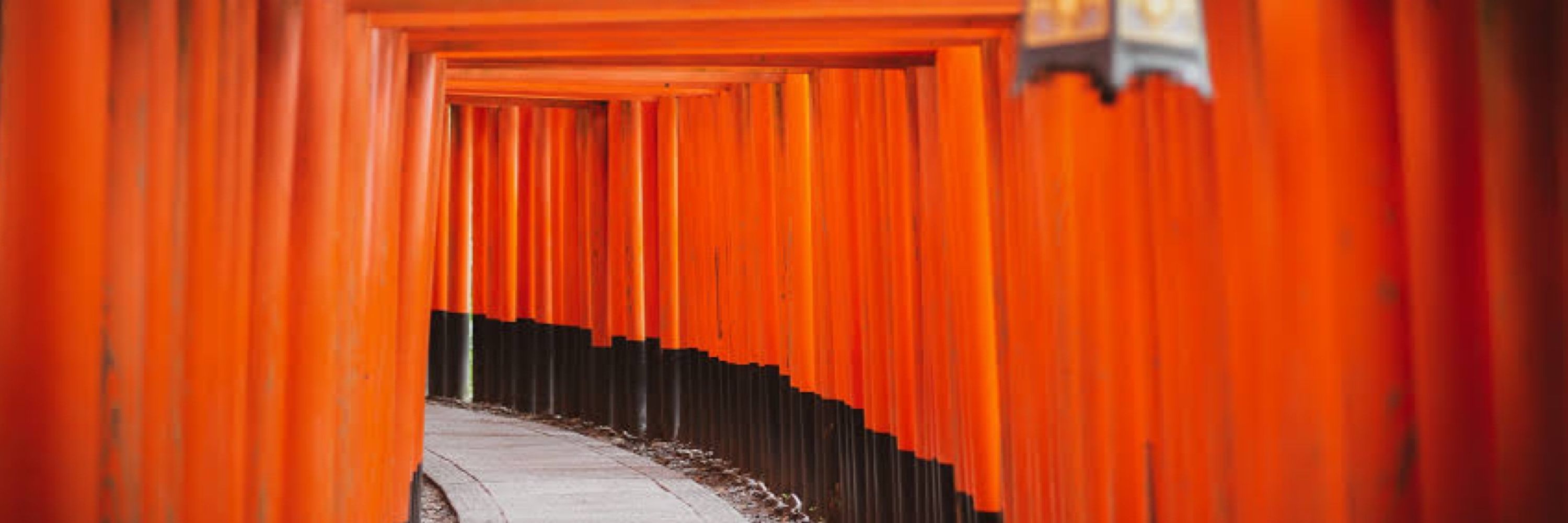 Shimizu Atsuko⛩️