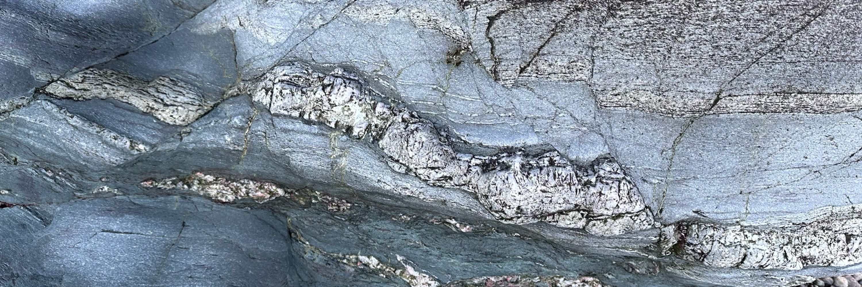 Luisa Hendry - scottishgeologist