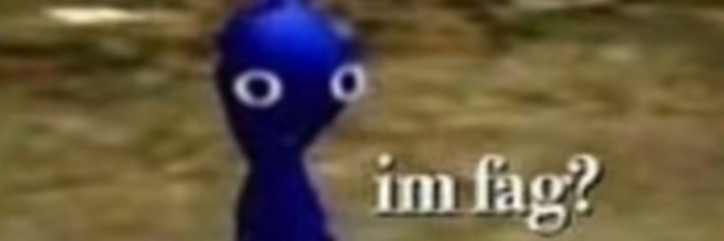 RoriCorb