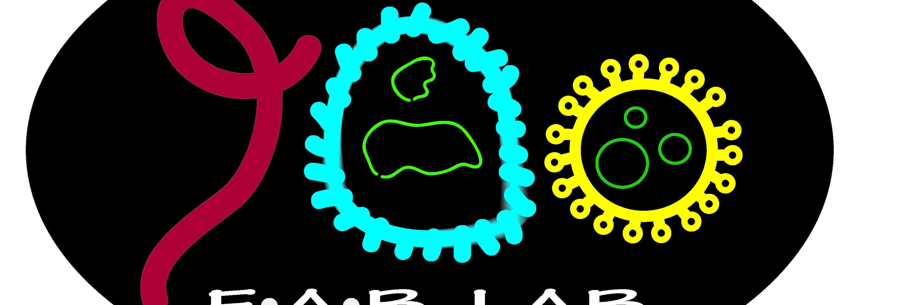 Anita McElroy aka FAB lab