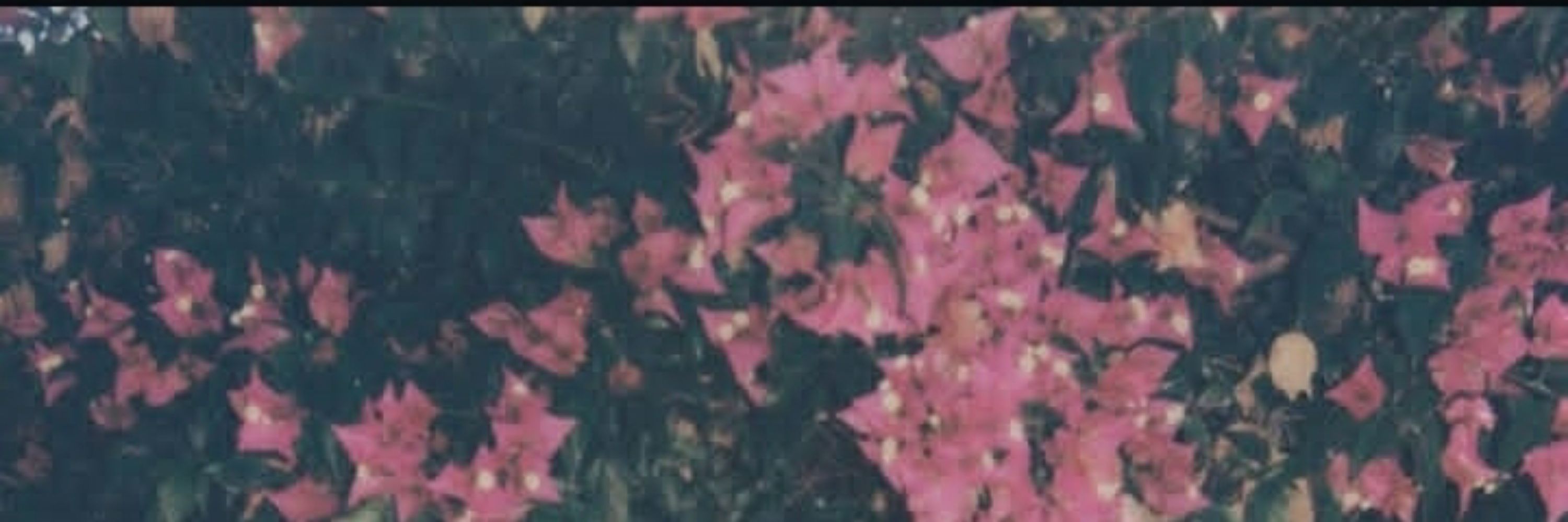 pati ♍