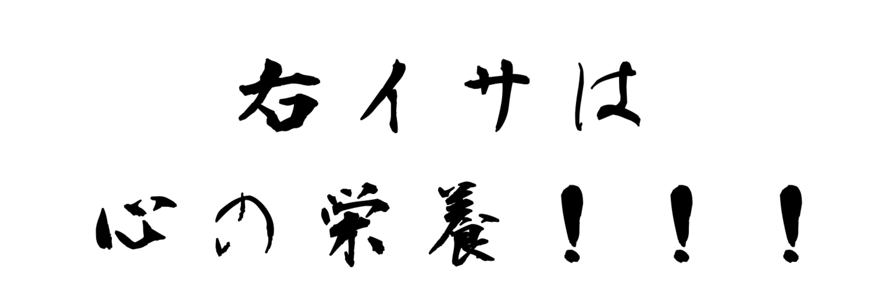 右イサワンドロ運営bs版
