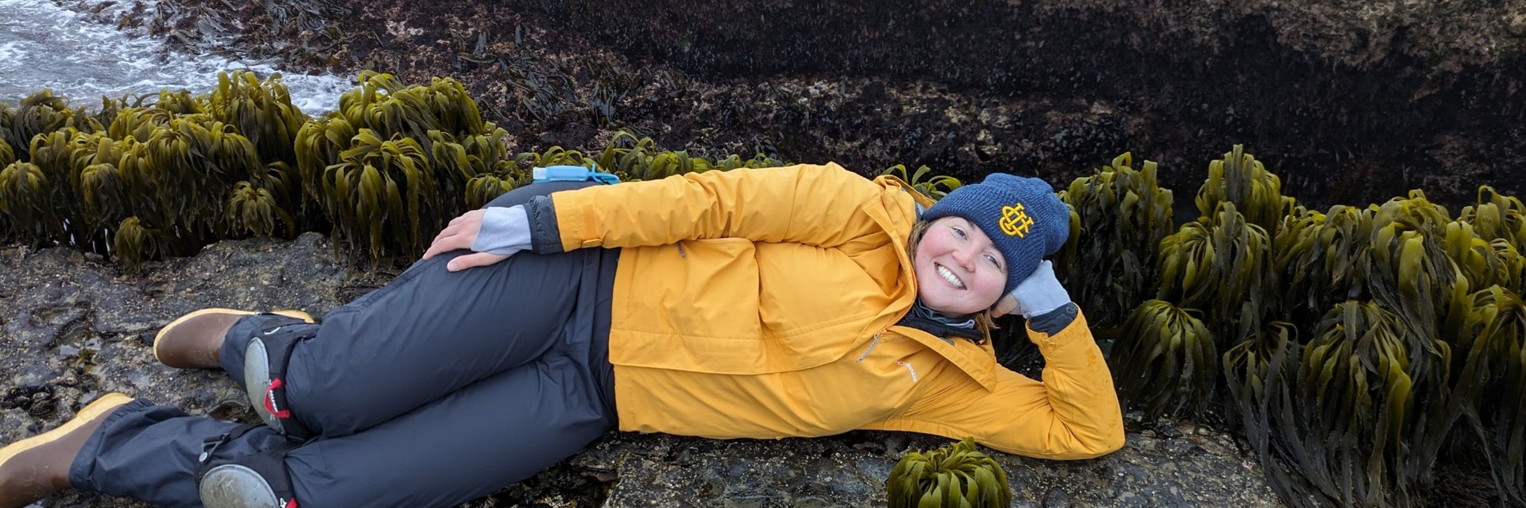 Robin Fales, PhD