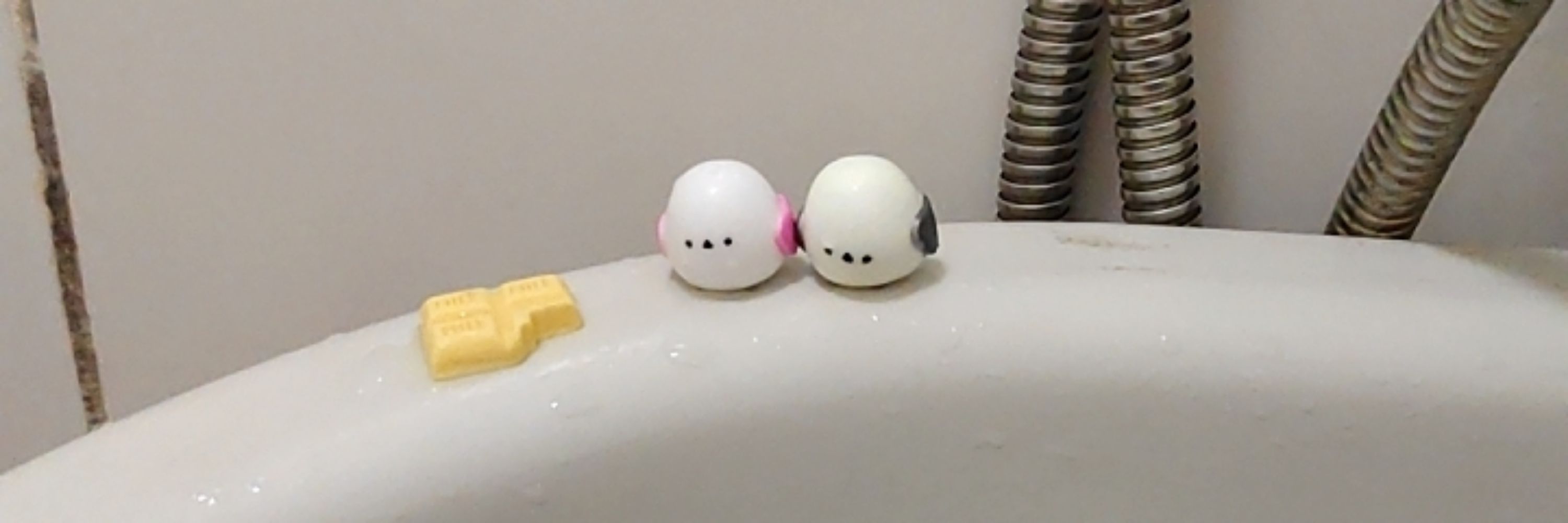 孩子氣的月