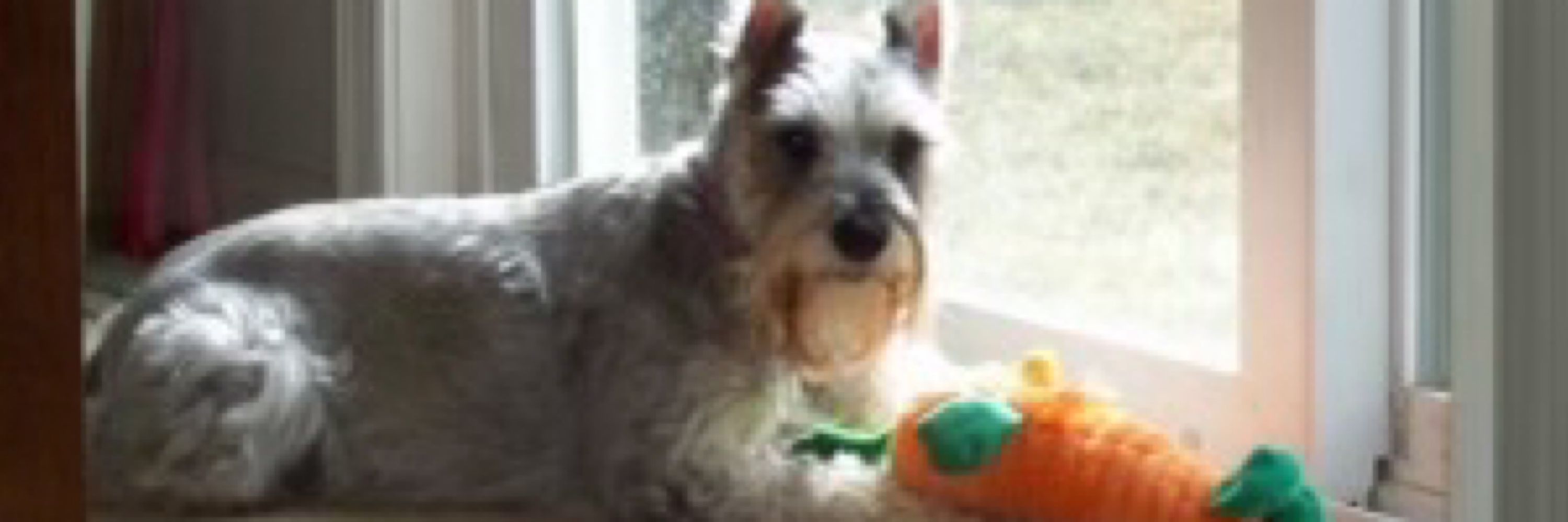 Sam
