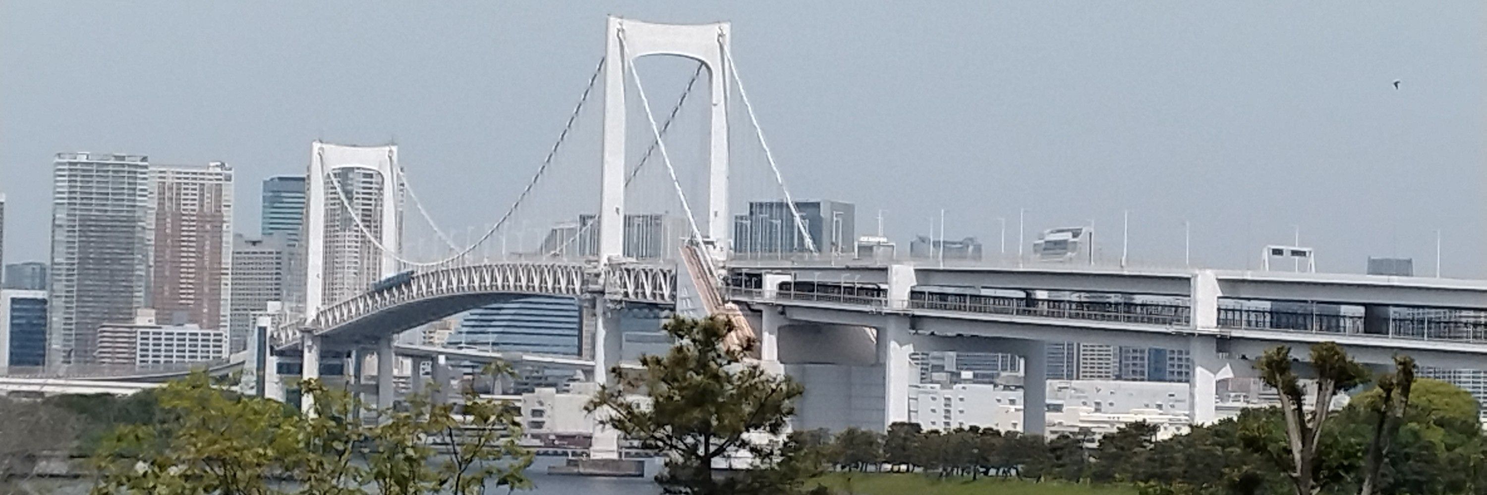 偽物の碧