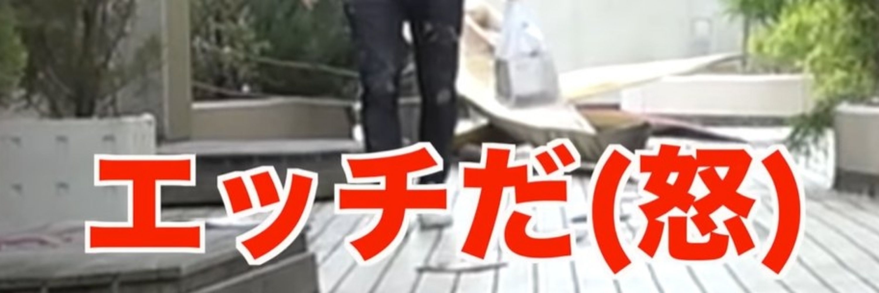 arigaTOHNO