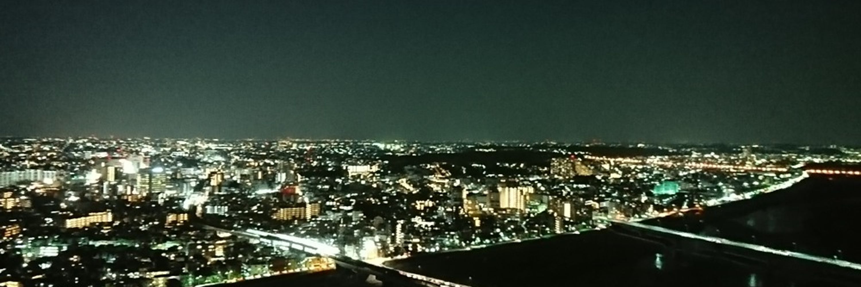 たま木