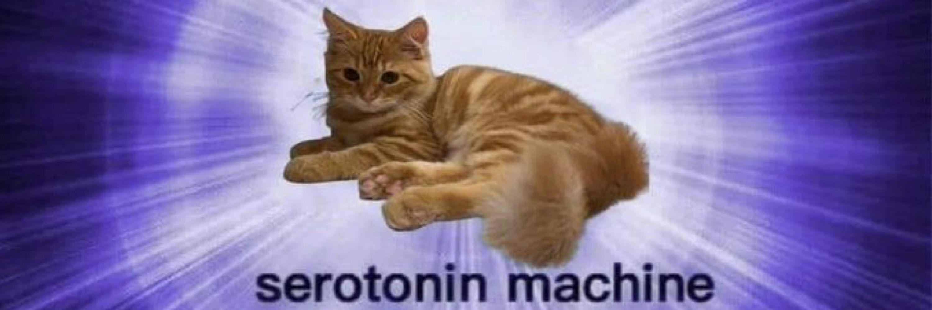 marx