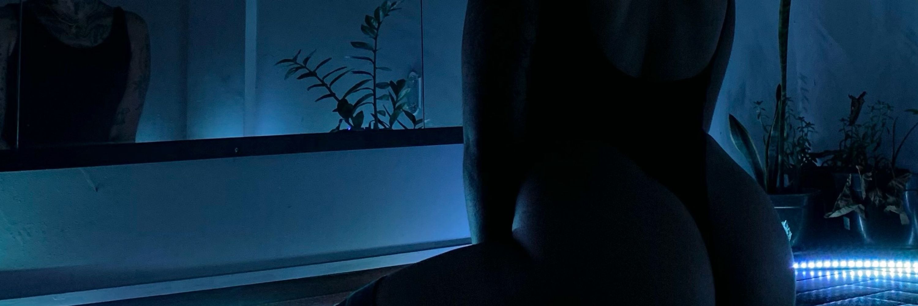 𝕸𝕺𝕹𝕿𝕰𝕹𝕰𝕲𝕽𝕺 🦇