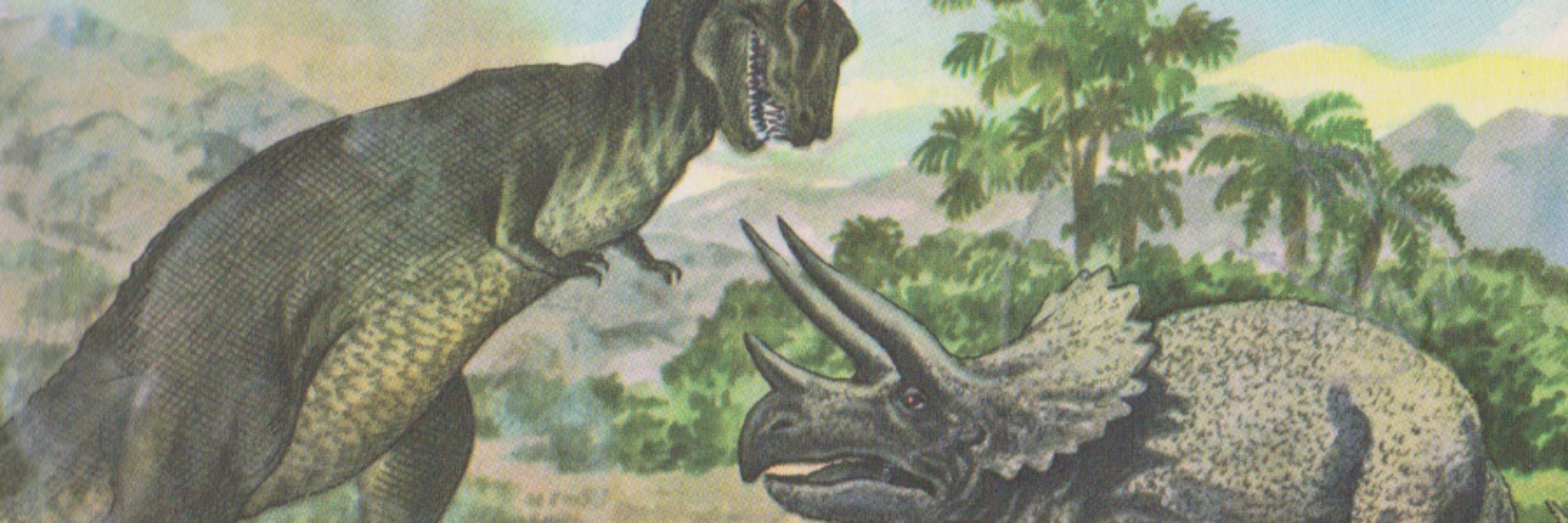 Tomboy Triceratops