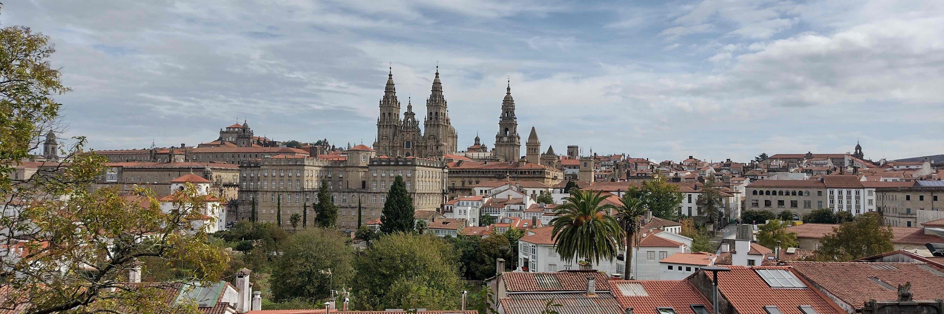 Roland en el Camino a Santiago
