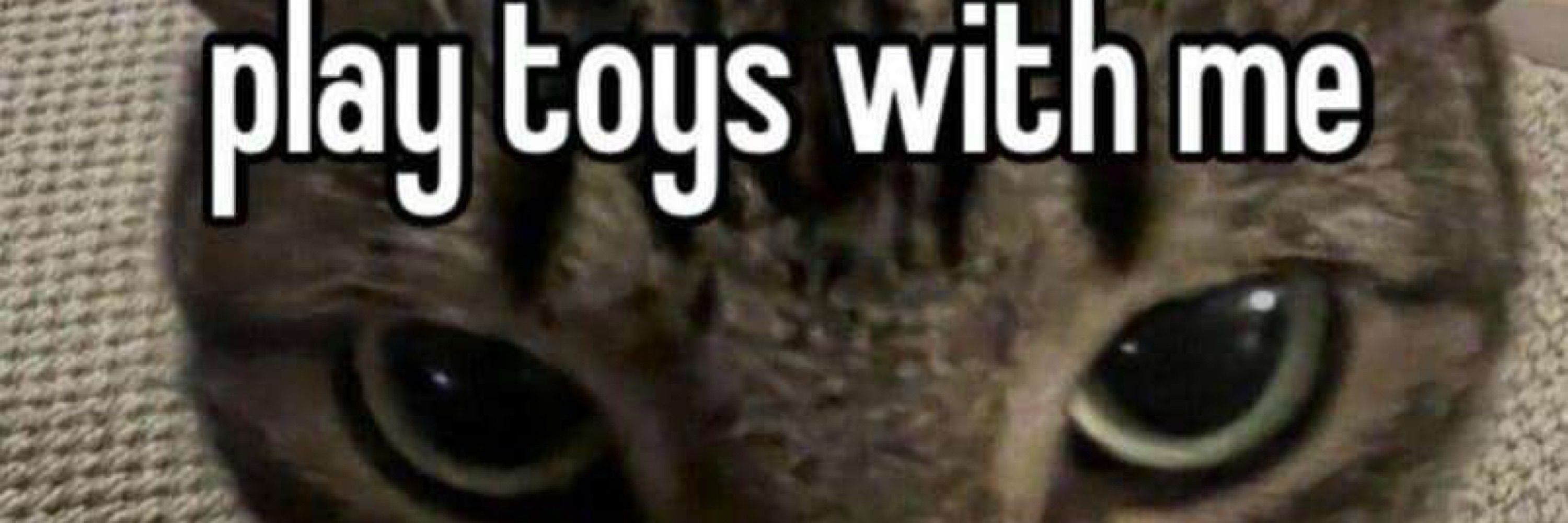 just a bot
