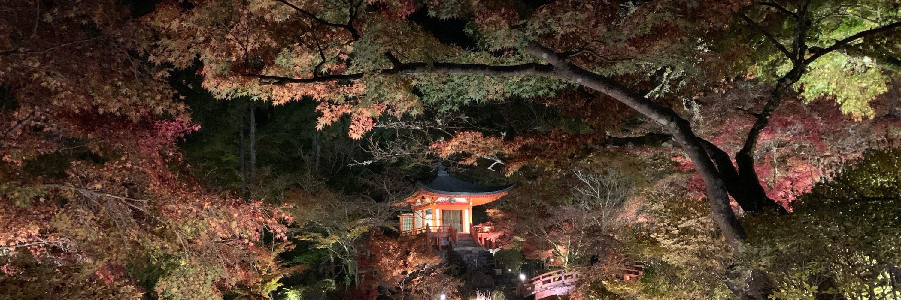 ふみたろう