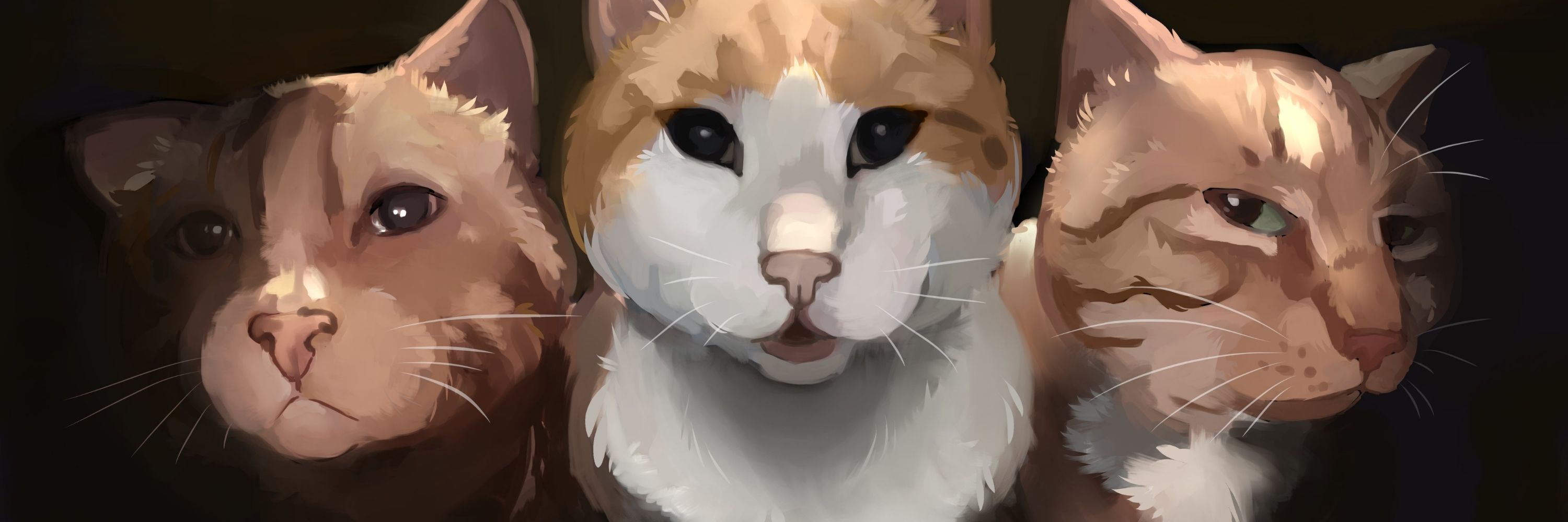 Kitsu