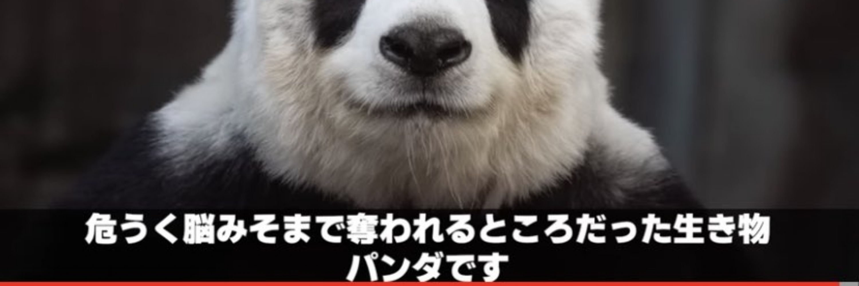 あおいろ