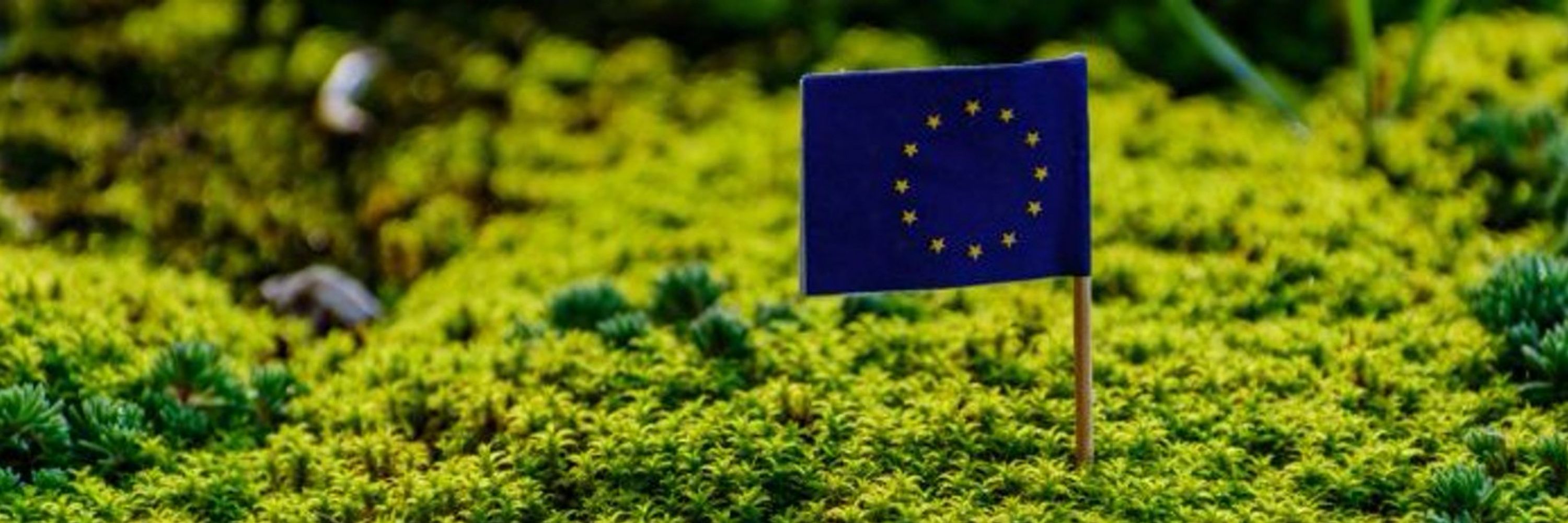 Grégoire Gaonach 🇪🇺