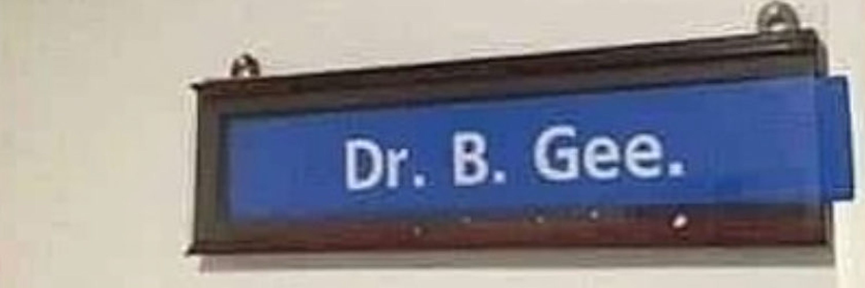 Bee Geesmith