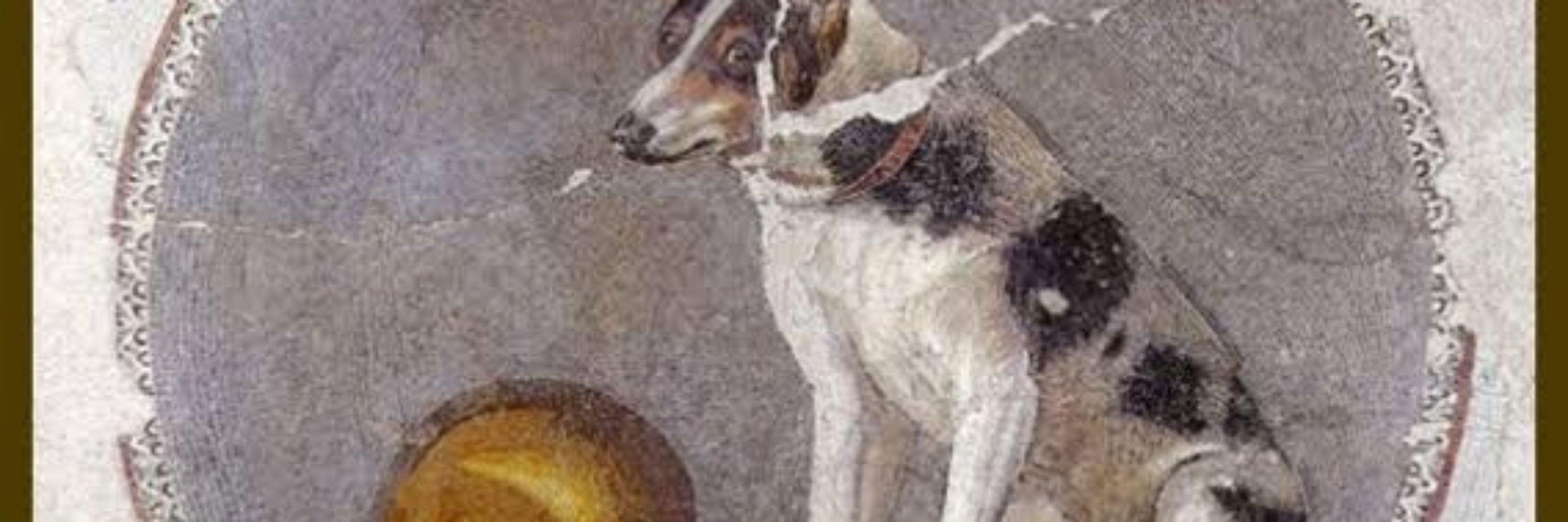 Entroponaut