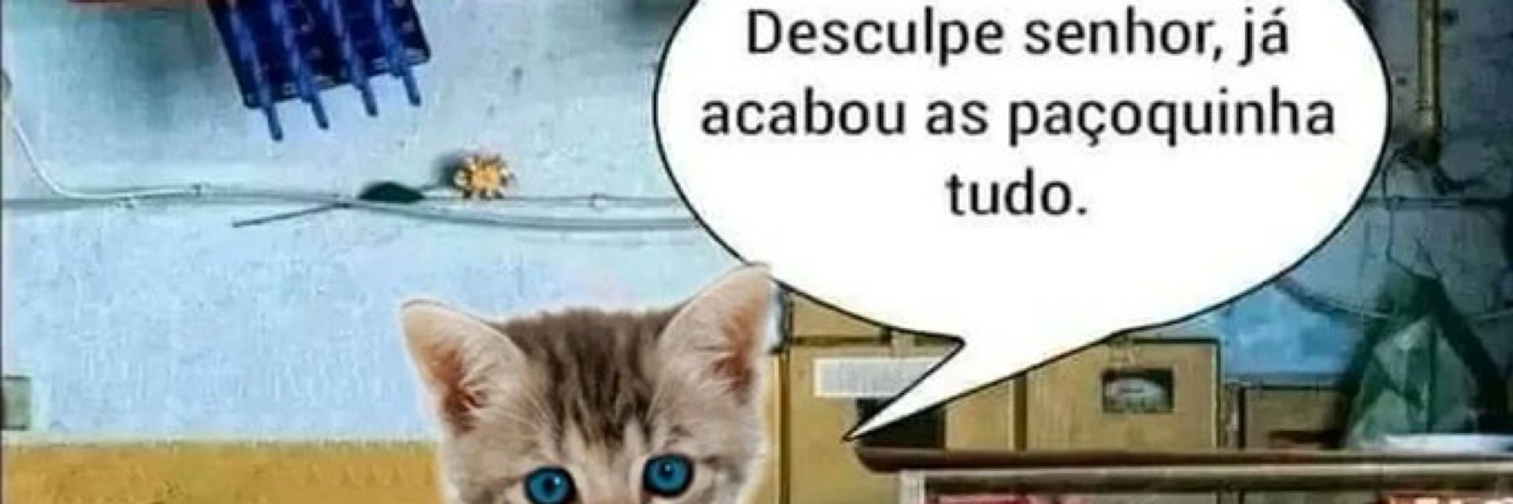 mc lucas