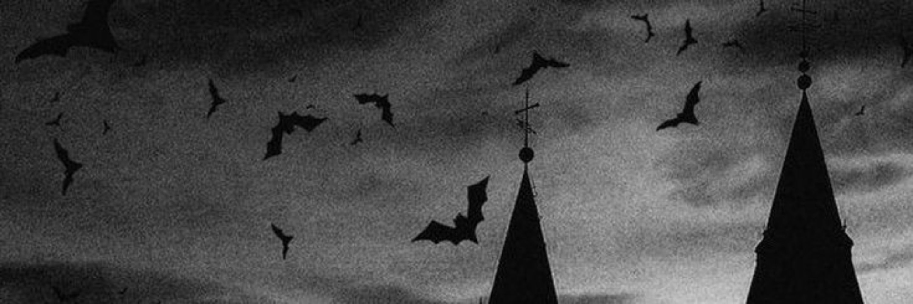 lisa 🦇