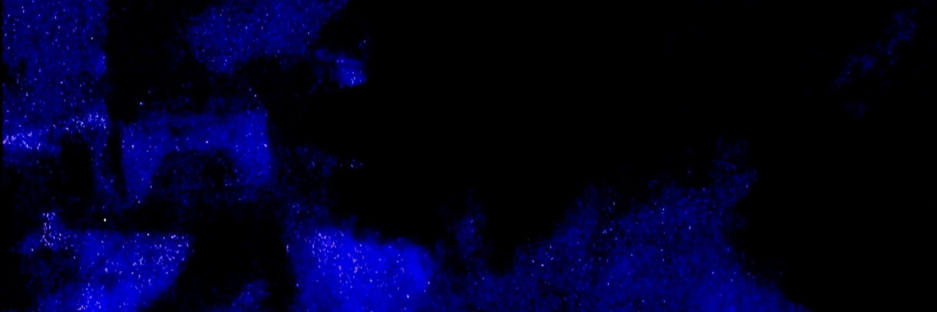 nebula.