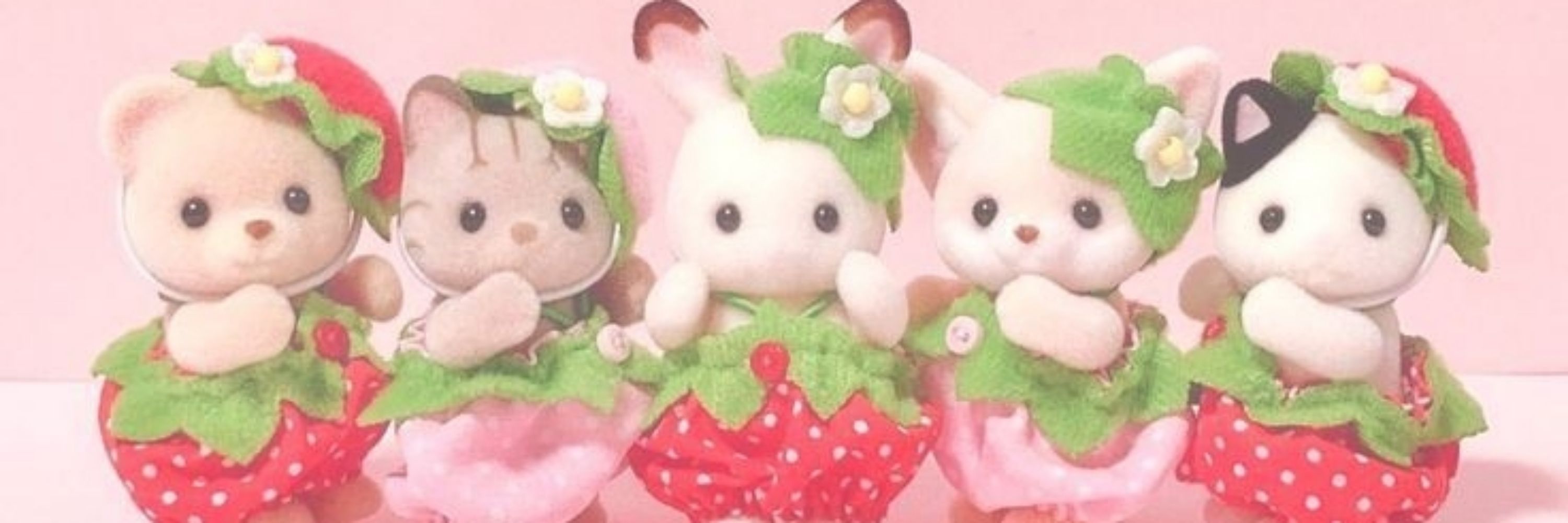 Ailuig ⋆.ೃ࿔* :･🍓