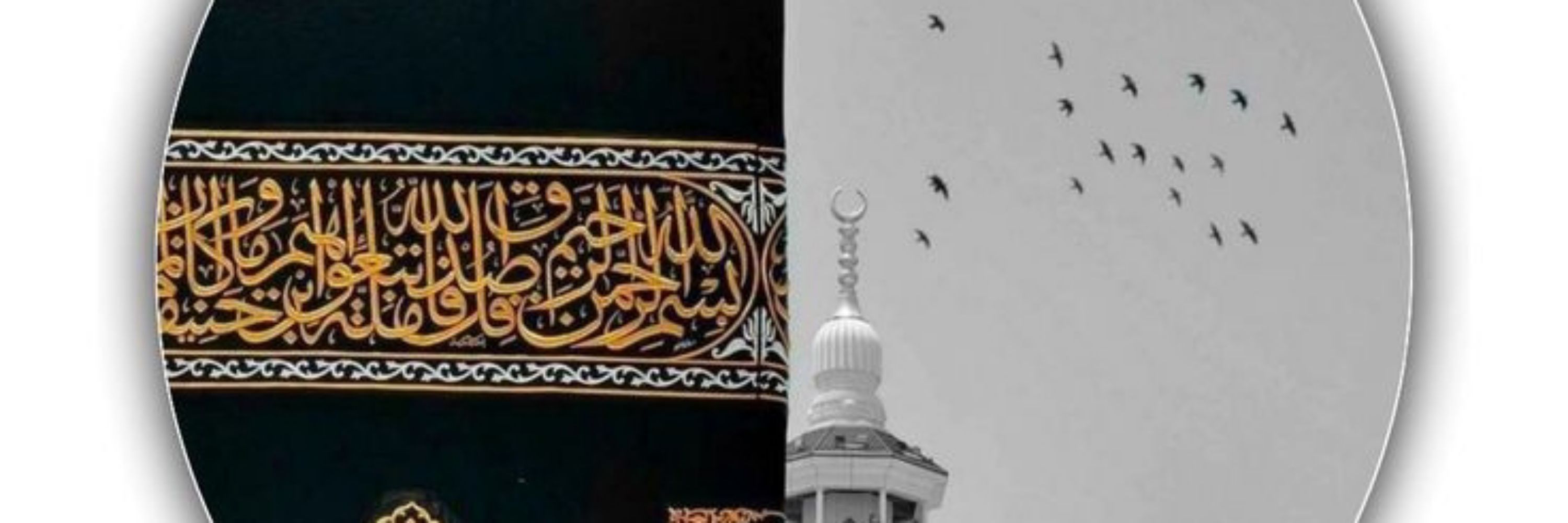Saqib