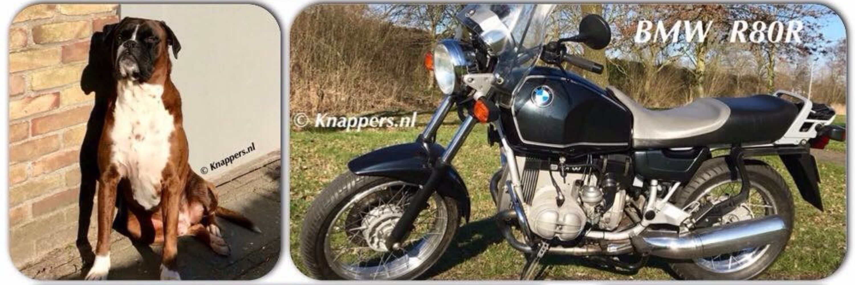John Knappers 🏍