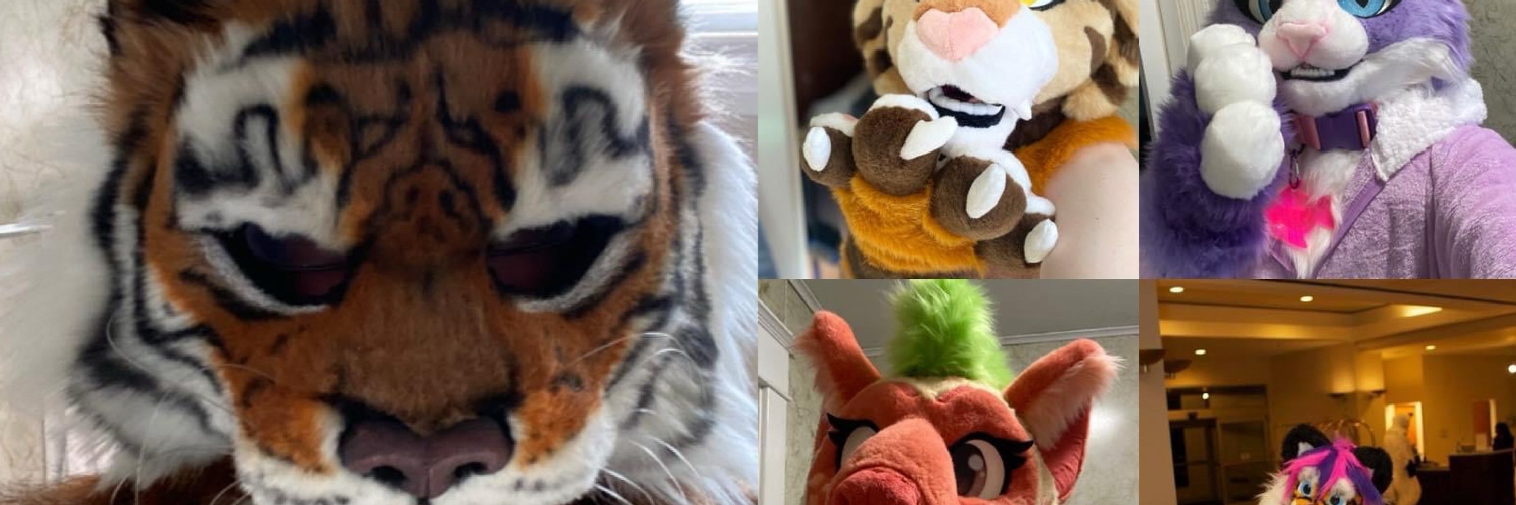 TigerPaw
