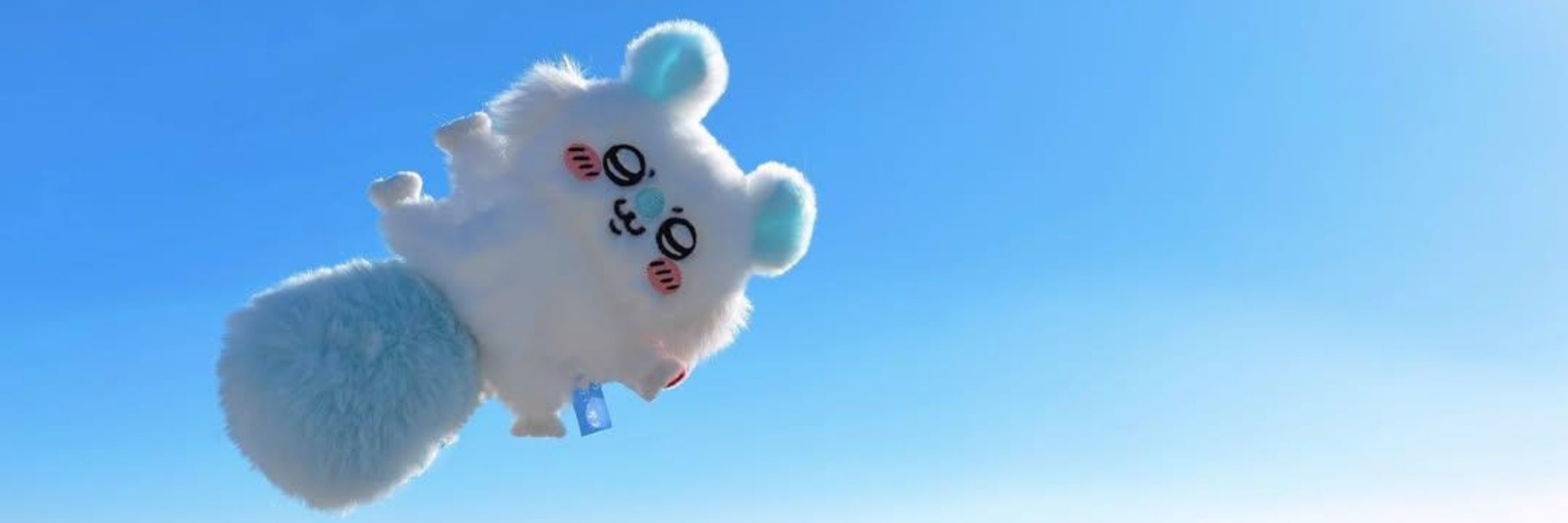 夏油蘿蔔