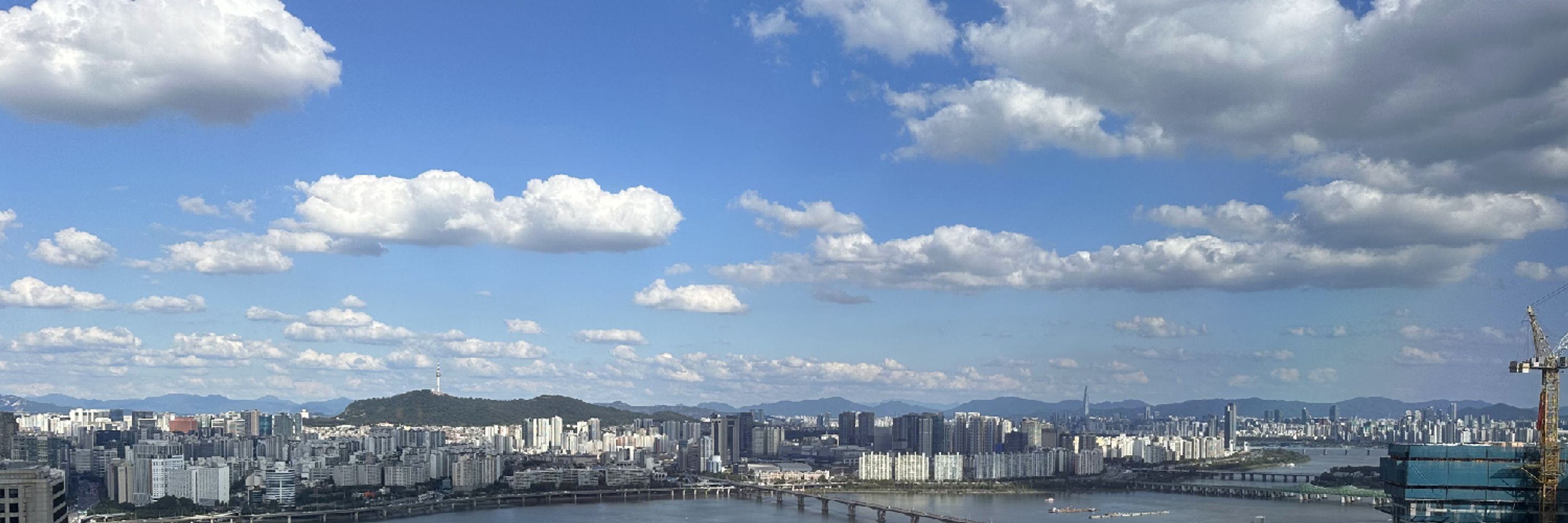 테슬라민트